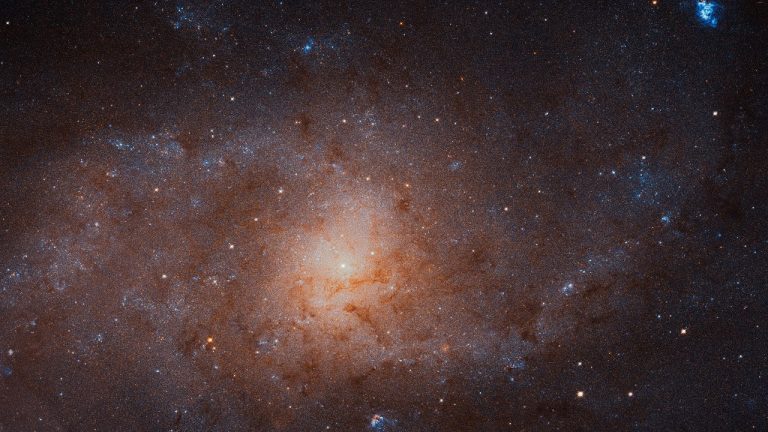 The Stars of the Triangulum Galaxy