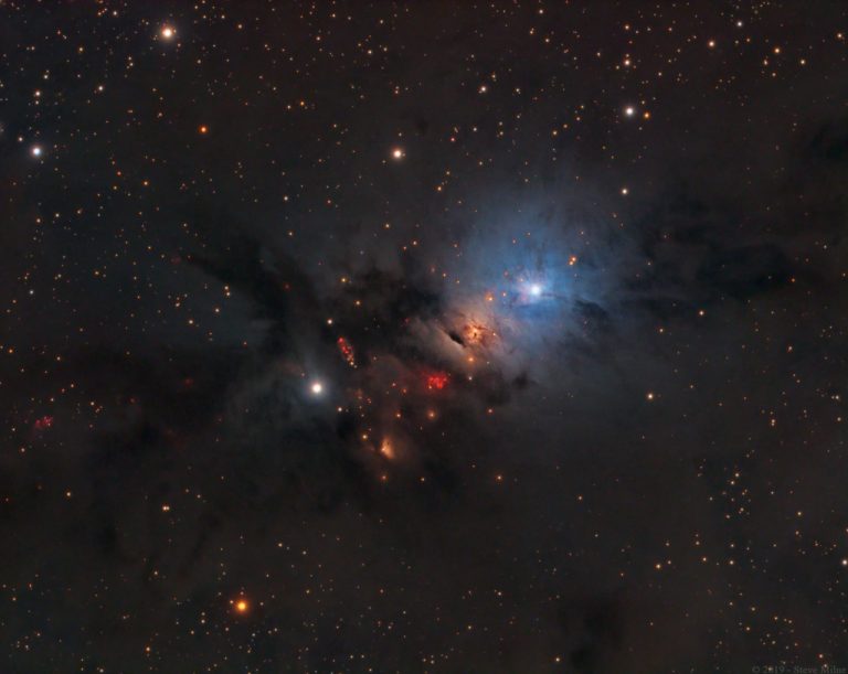 NGC 1333: Stellar Nursery in Perseus