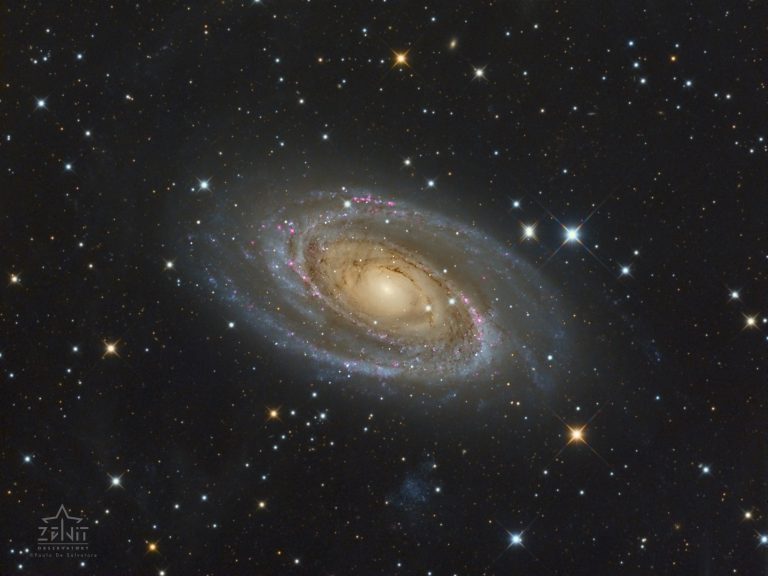 Messier 81