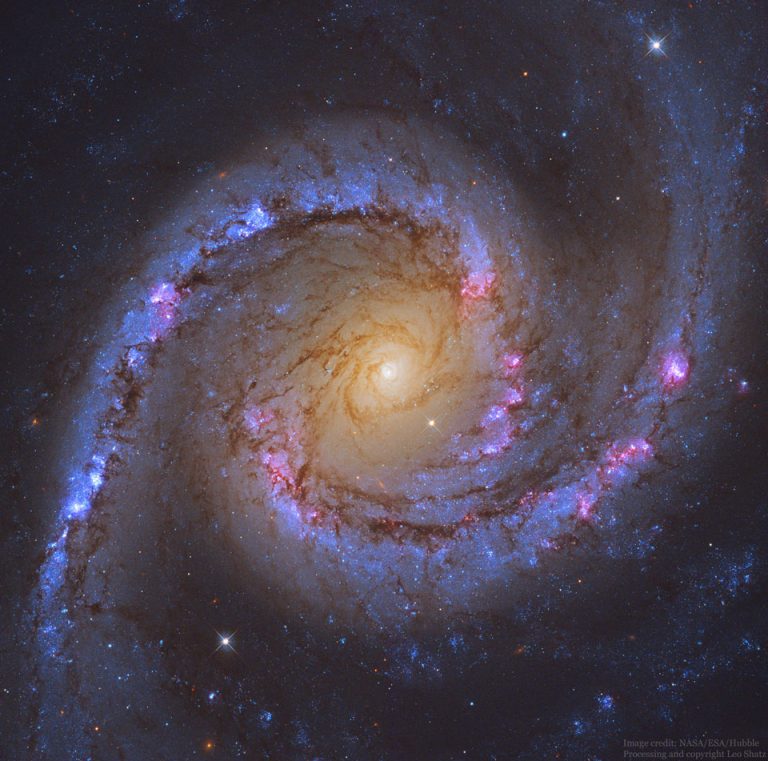 NGC 1566：西班牙舞者螺旋星系