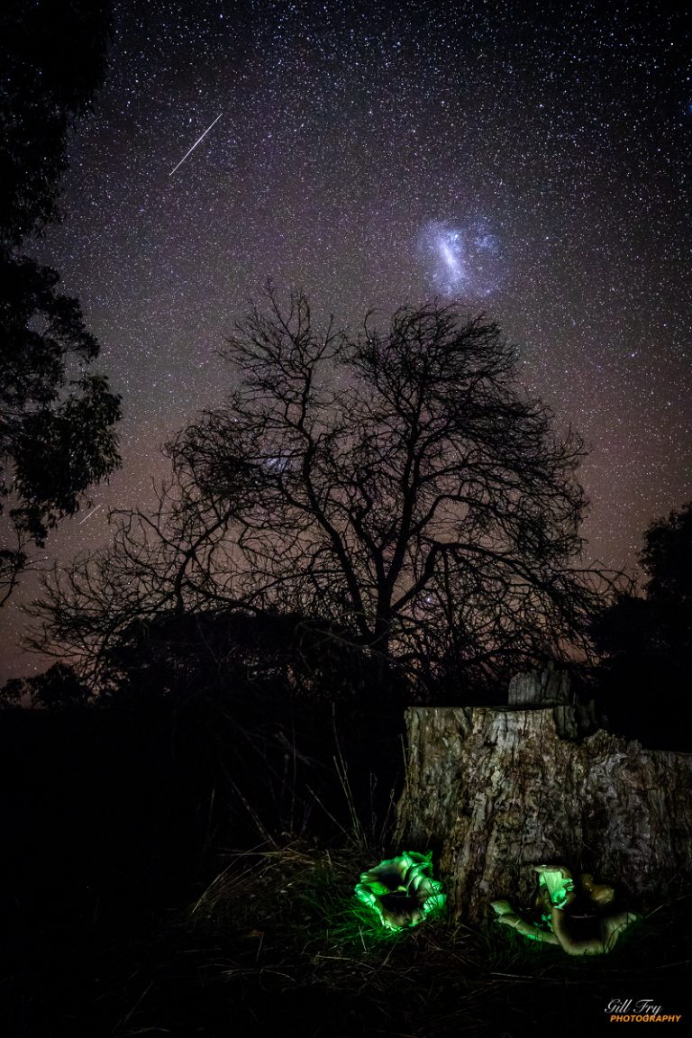 从幽灵真菌到麦哲伦星系