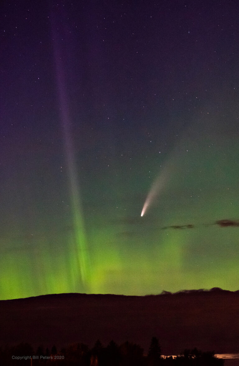 北极天空中的NEOWISE彗星