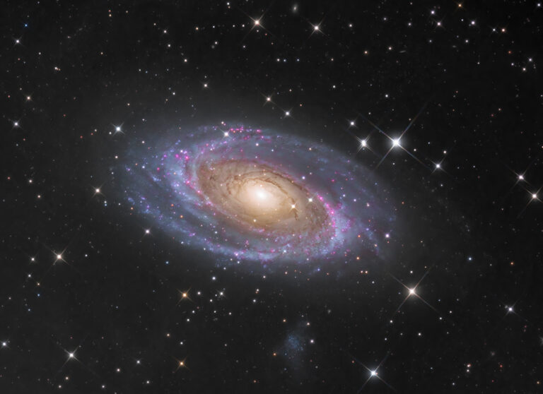 M81