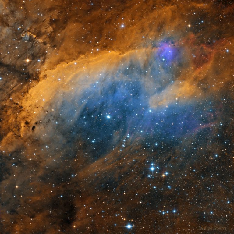 IC 4628：斑节虾星云