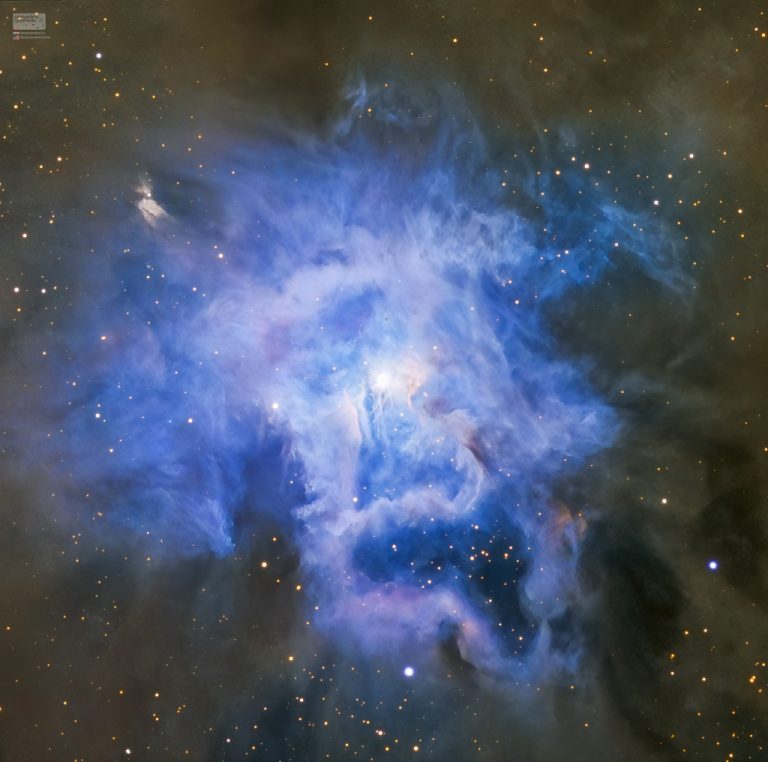 NGC 7023：鸢尾花星云