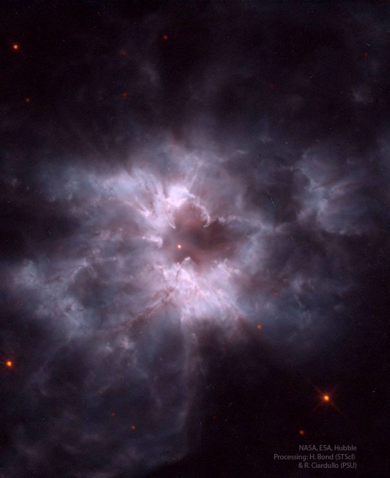 NGC 2440: 新白矮星的茧