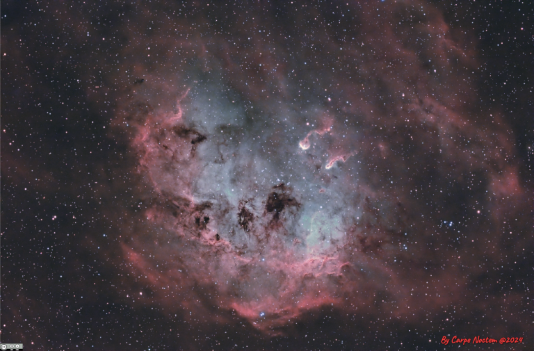 NGC 1893与IC 410的蝌蚪