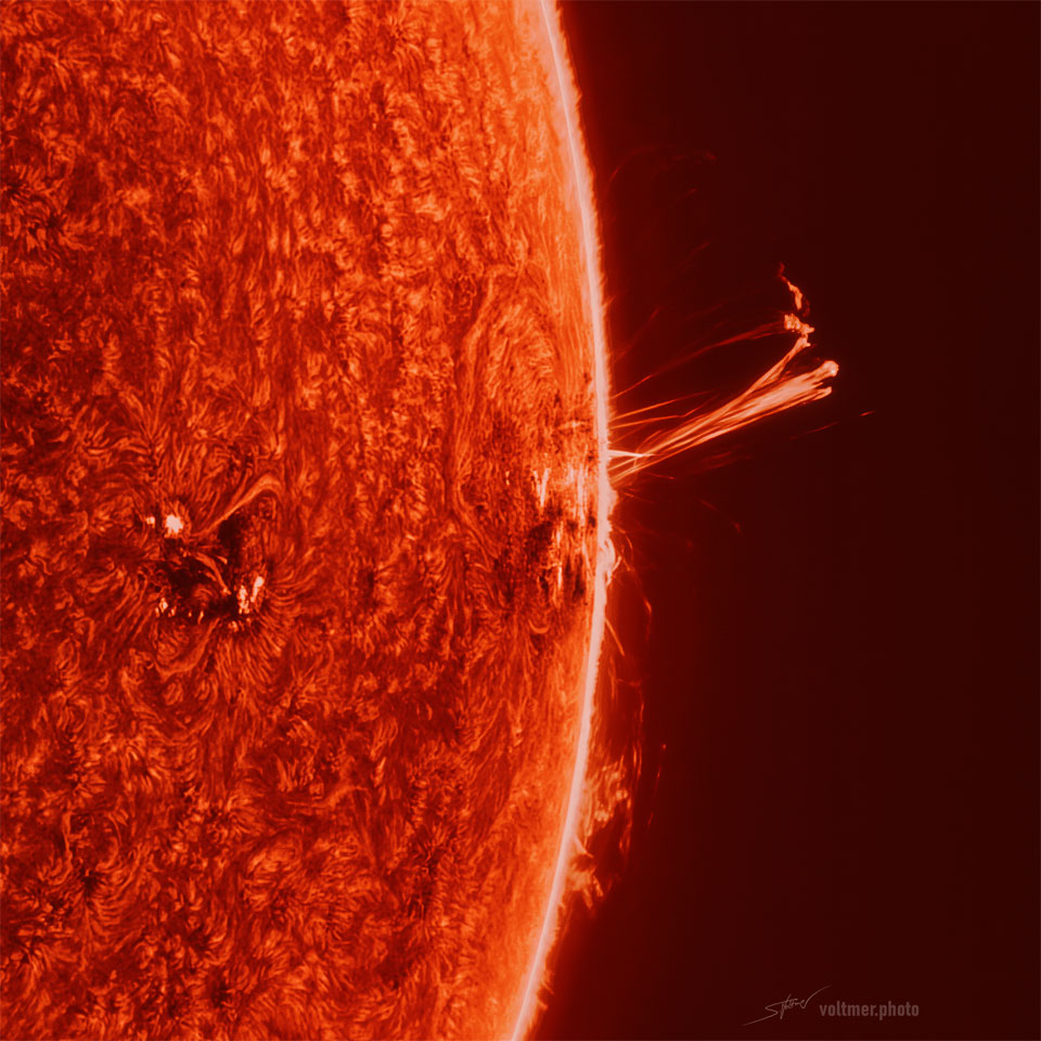 太阳的一部分在图片中显示出来，定位在右边缘。表面的纹理就像地毯一样。边缘上突出显示了一个长的多叉形日珥。太阳的背后是黑暗的太空。有关更多详细信息，请参阅说明。