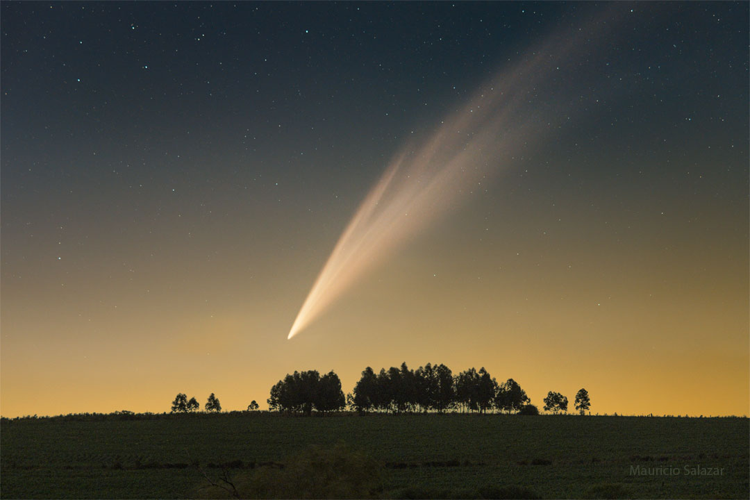 远处的星空下是一片草地。草地上有几棵树。天空中，一颗彗星拖着长长的彗尾，与树木相映成趣。有关更多详细信息，请参阅说明。